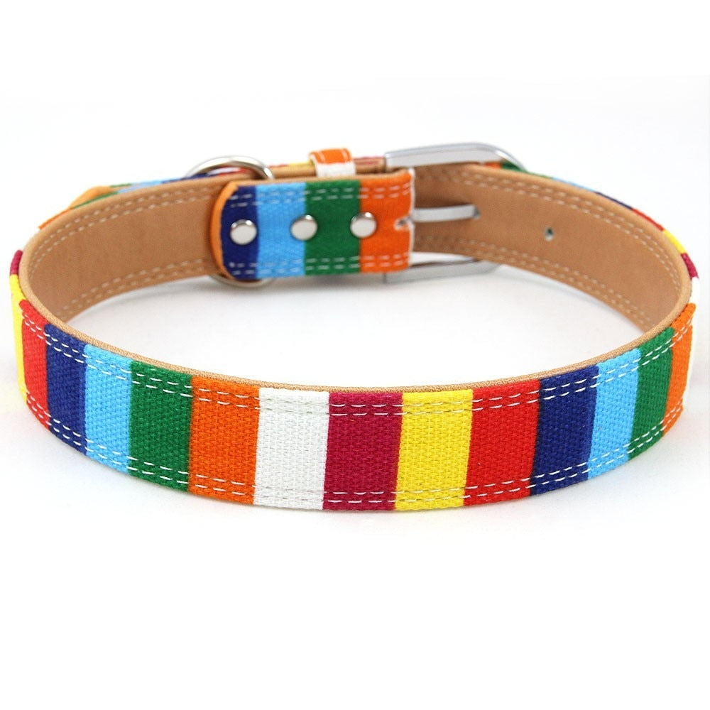 Canvas&Leather Dog/Cat Collar