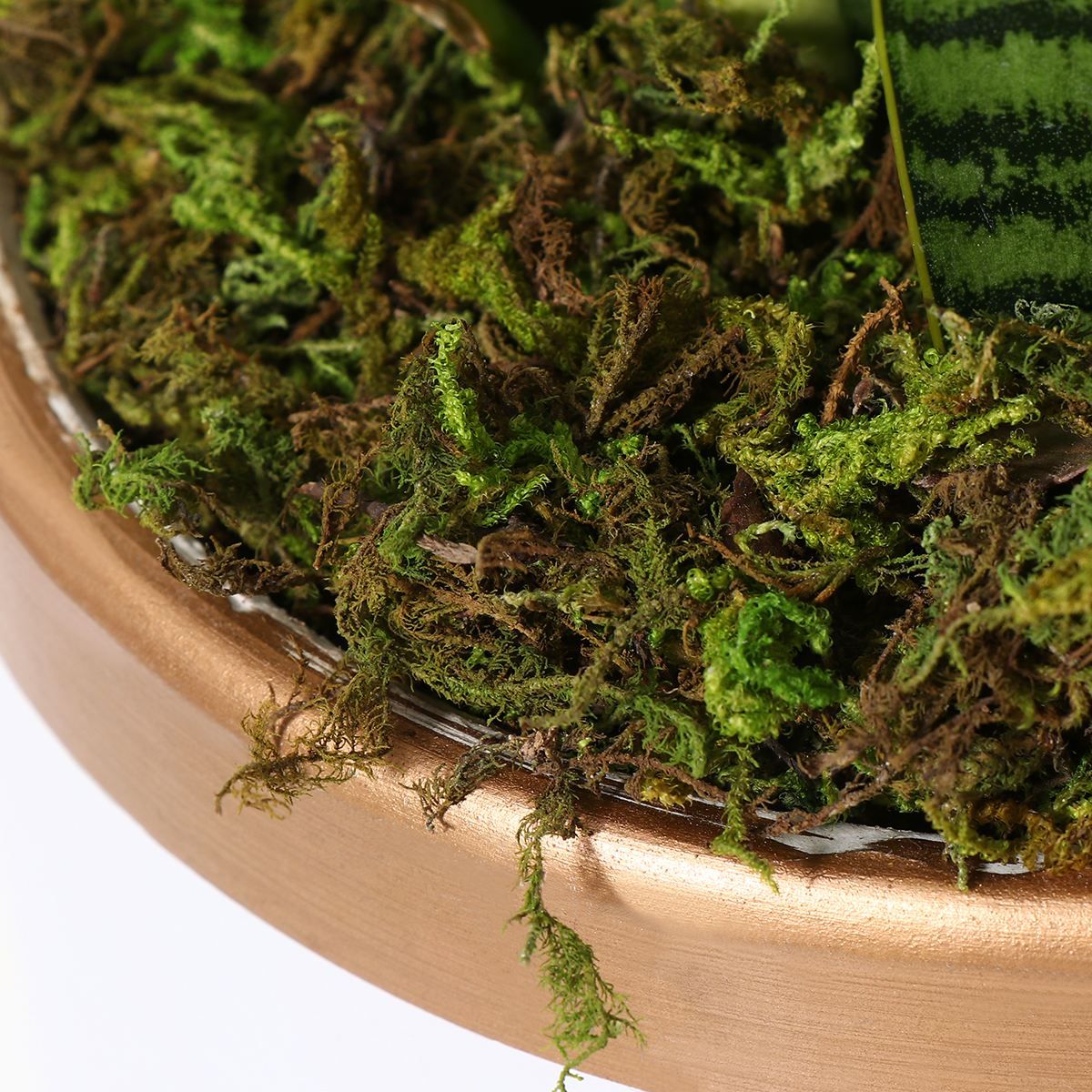 Artificial Green Moss