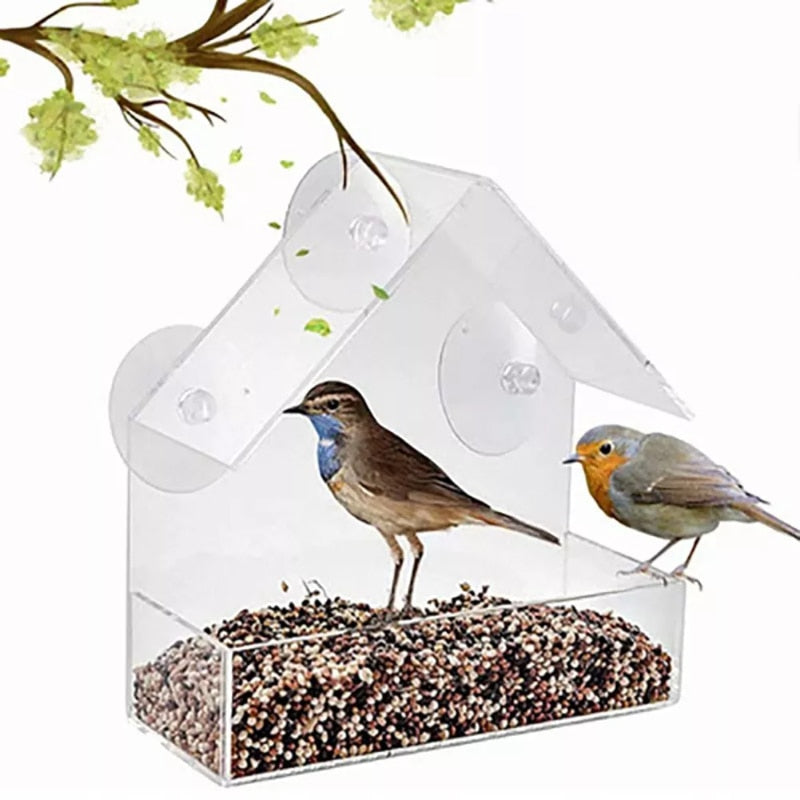 Hanging Acrylic Bird Feeder House