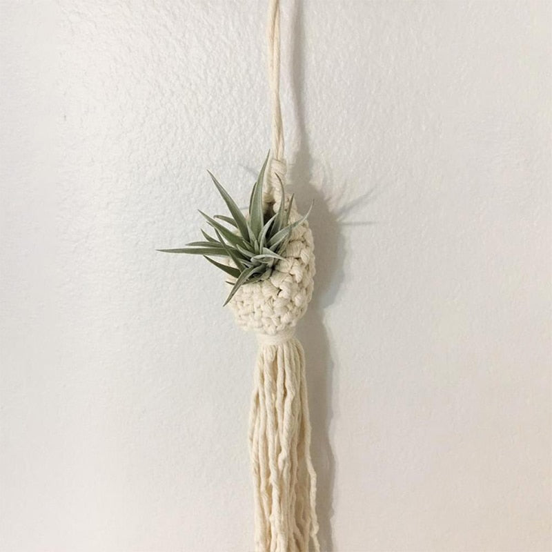 Homemade Rope and Tassel Hanging Basket