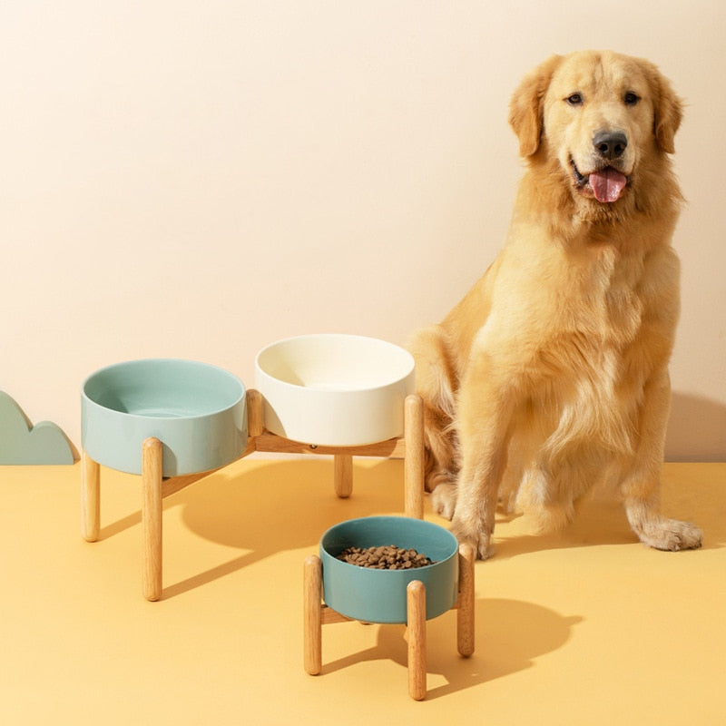 Elevated Ceramic & Wood Dog Bowl